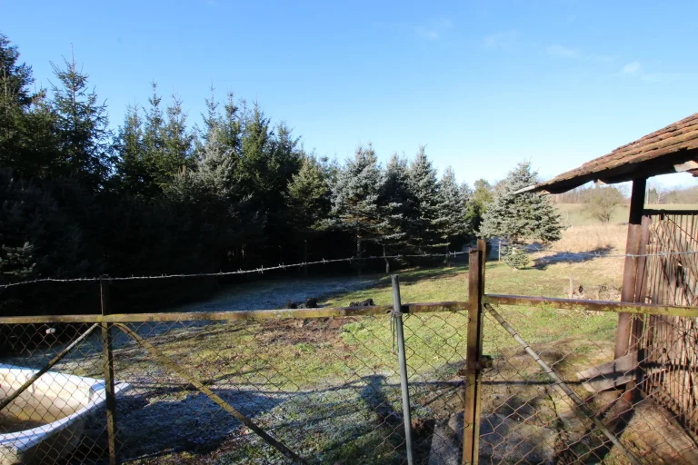 Bánokszentgyörgy 13